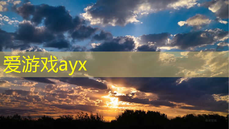爱游戏ayx,扬州桦木塑胶跑道建设