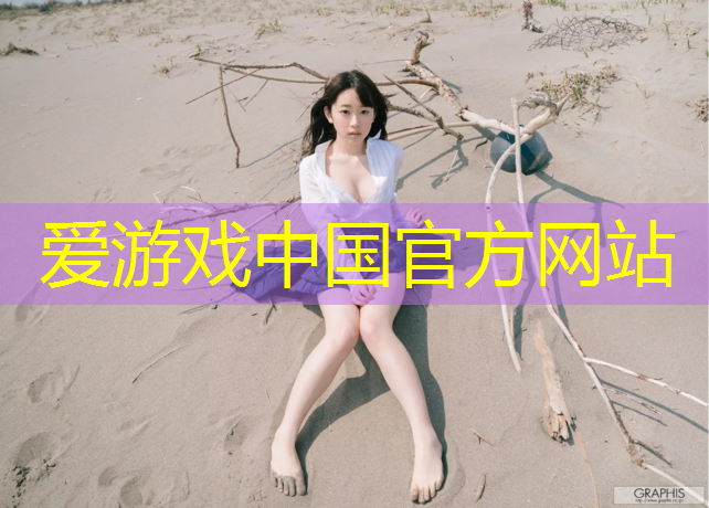 爱游戏AYX体育,网球网发球机