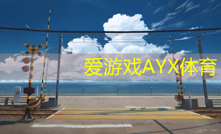 爱游戏AYX体育,三折叠体操垫怎么做